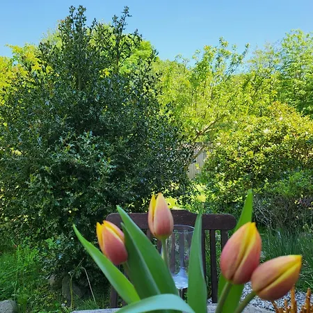 Apartmán Diek 21 Sueued *