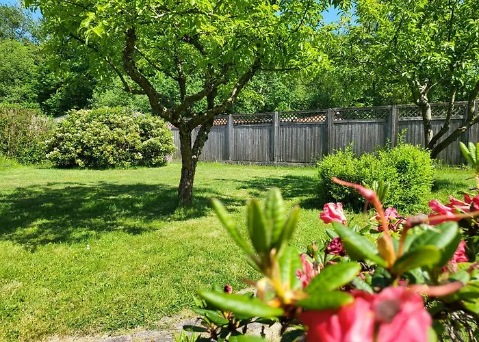 Diek 21 Sueued * Böhl