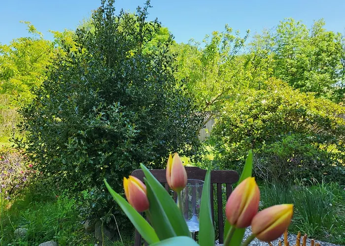 Appartamento Diek 21 Sueued *